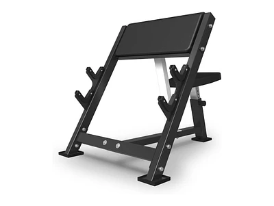 Er Kang Preacher Curl Bench, Seated Arm Isolated Barbell Dumbbell Bicep Station, Machine with 2 Bar Holders for Home Gym