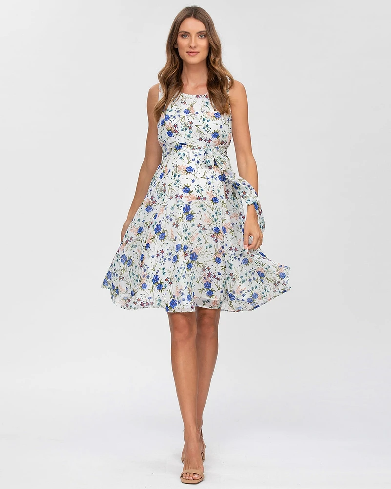 Pietro Brunelli Maternity Maternity Pietro Brunelli Sleeveless Chiffon Tamigi Dress