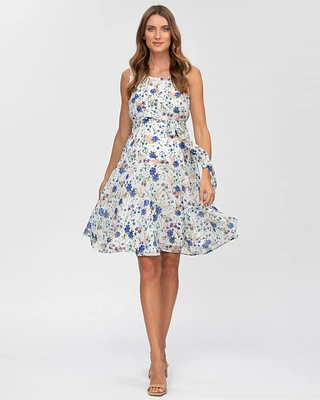 Pietro Brunelli Maternity Maternity Pietro Brunelli Sleeveless Chiffon Tamigi Dress