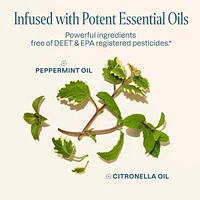 Cliganic Mosquito Repellent Patches