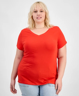 Trendy Plus Fitted V-Neck T-Shirt