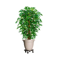 Plant Trolley with Wheels Diameter 15.7" Black 606.3 lb