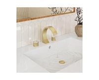 Casainc Widespread Double Handle Bathroom Sink Faucet with Drain