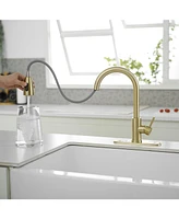 Single Handle Pull-Down Sprayer Spray High Arc Pull Down Sprayer Kitchen Faucet