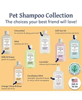 Bobbi Panter (Botanical) Rejuvenating Dog Shampoo Kiwi Extract, Lemongrass, Rosemary, Chamomile