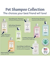 Bobbi Panter (Botanical) Refreshing Dog Shampoo Eucalyptus Oil, Mint Oil, Oil Oat, Chamomile, Rosemary, Aloe Vera