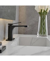 Single Hole Single-Handle Bathroom Faucet