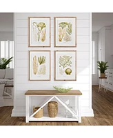 19.75"W x 1"D x 26.75"H Verdant Coral Study Framed Wall Art Set of 4