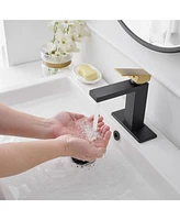 Single Hole Single-Handle Bathroom Faucet