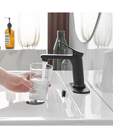 Single Hole Single-Handle Bathroom Faucet in Matte Black