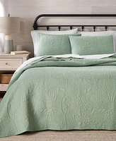 Charter Club Trapunto Vine 3-Pc. Quilt Set, Full/Queen, Exclusively at Macy's