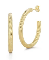 Rachel Zoe Sterling Silver Ribbed Twist Oval Hoop Earrings