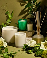 Apotheke Verdant Garden Reed Diffuser, 6.7 oz.