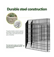 Hexagonal Gabion Raised Bed 39.4"x35.4"x19.7"