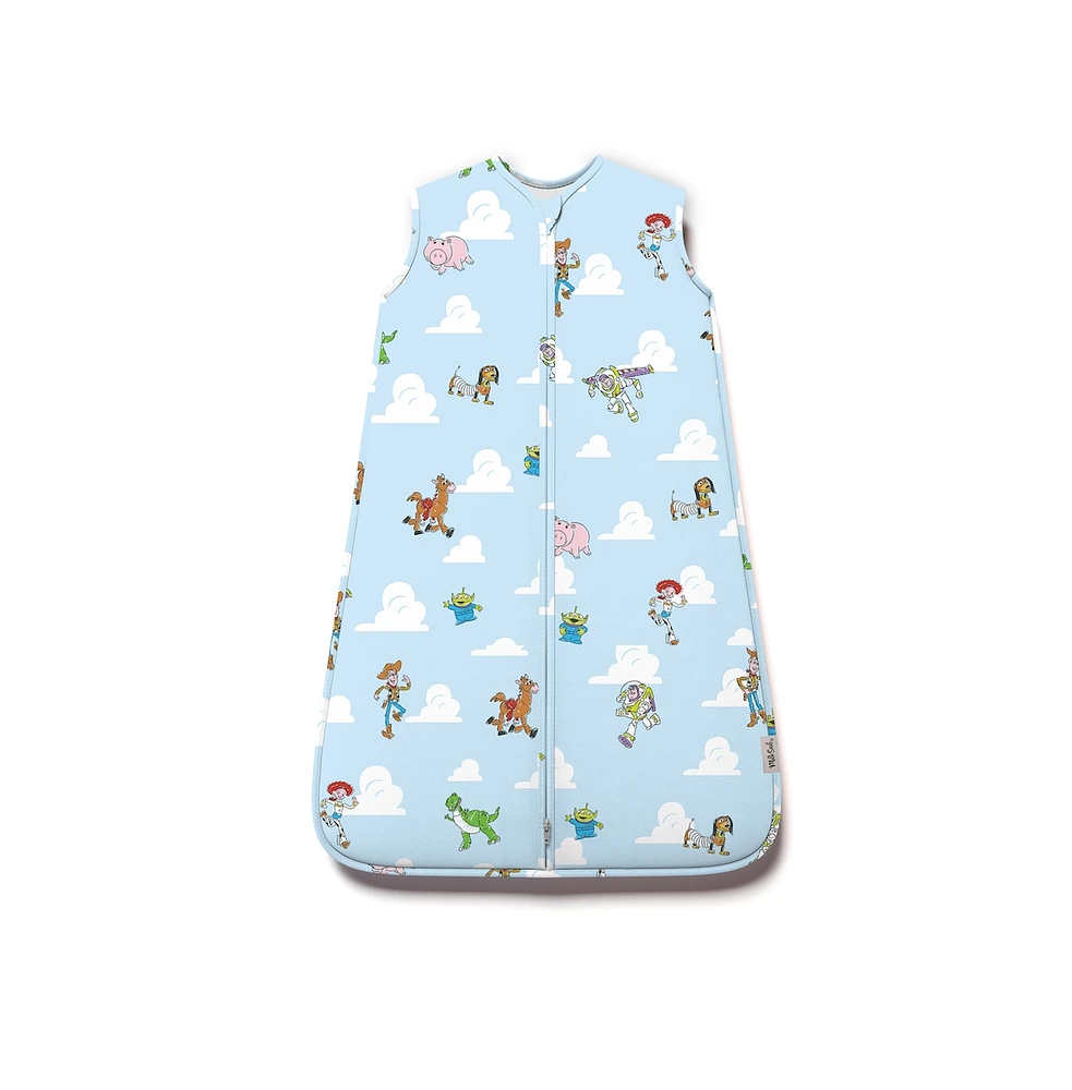 Disney Pixar Toy Story Sleep Bag