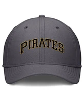 Nike Men's Gray Pittsburgh Pirates Swoosh Performance Flex Hat