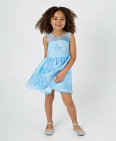 Rare Editions Toddler and Little Girls Floral Organza Social Dress