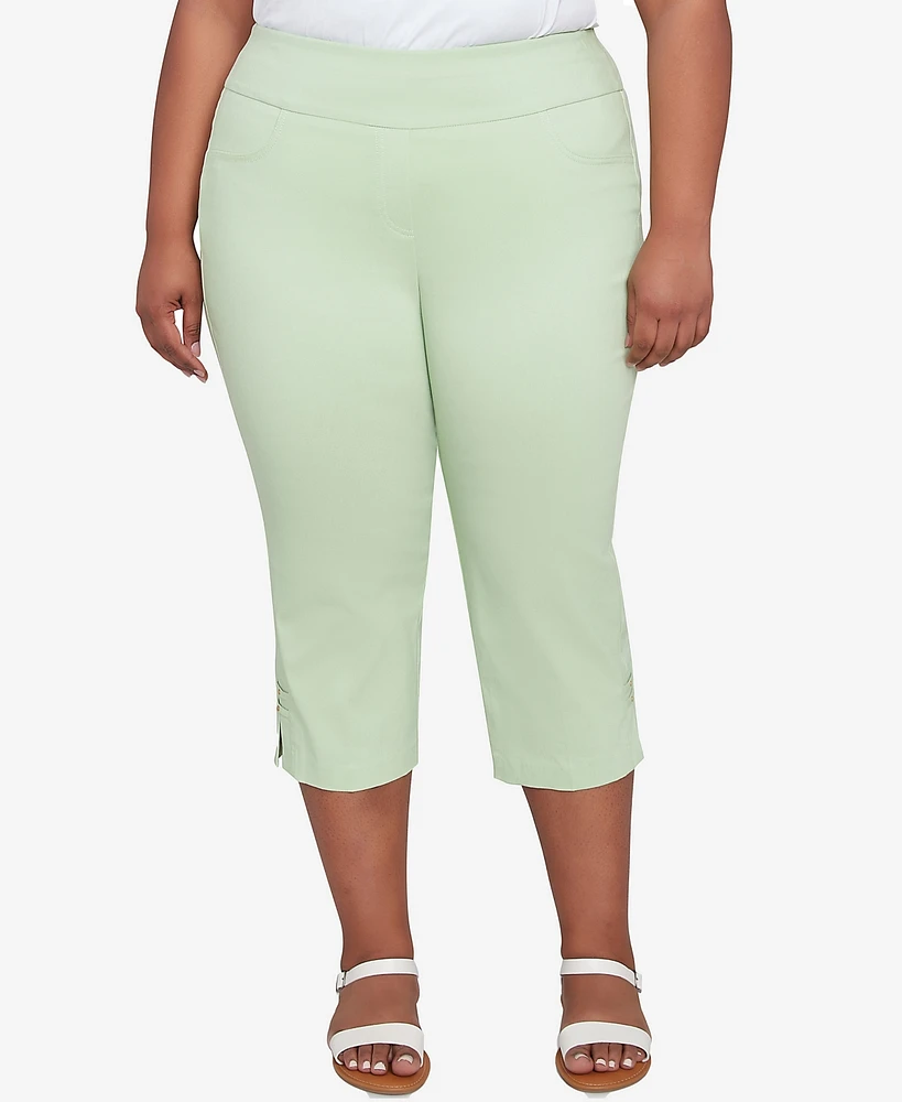 Hearts Of Palm Plus Solid Tech Stretch Pull On Pants