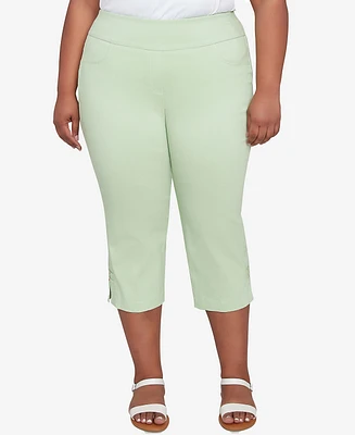 Hearts Of Palm Plus Solid Tech Stretch Pull On Pants