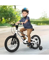 16 Inch Children Bicycle with Training Wheels & Double Disc Brakes Adjustable Seat Magnesium Alloy