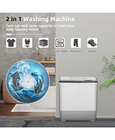 2-in-1 Portable 22lbs Capacity Washing Machine with Timer Control