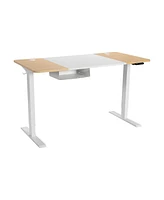 Electric Adjustable Sit-to-Stand Desk with Usb Port Ergonomic and Convenient Desk for Home Office