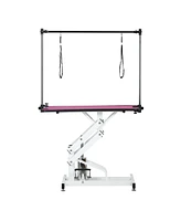 42.5INCH Hydraulic Pet Grooming Table With "H" Arm