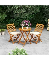 Outdoor Folding Chairs with Seat Cushions for Comfortable Patio Seating (Set of 2)