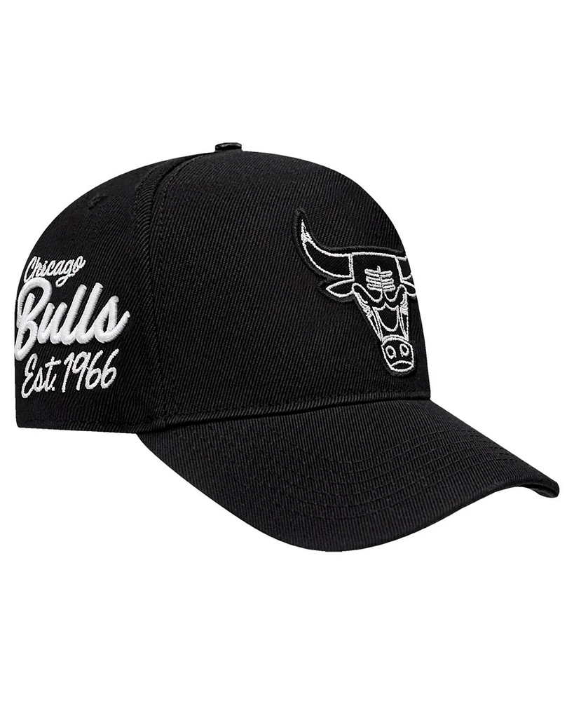 Pro Standard Men's Black Chicago Bulls Paint the City Pinch Front Snapback Hat