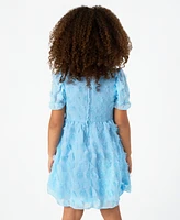 Rare Editions Toddler and Little Girls 3D Flower Chiffon Dress