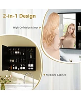 Bathroom Medicine Cabinet with Single Mirror Door