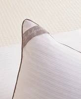 Indulgence by Isotonic 500-thread-count 100% Cotton Cover Back/Stomach Sleeper Pillow