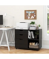 3-Drawer File Cabinet with Adjustable Shelf and Wheels for Letter