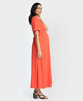 Seraphine Women's Maternity and Nursing Dress