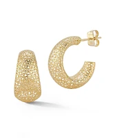 Rachel Zoe Fine Jewelry 14K Gold Chunky Mesh Hoops