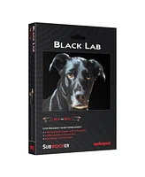 AudioQuest Black Lab Rca Male to Rca Male Subwoofer Cable - 6.56 ft. (2m)