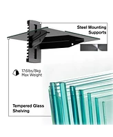 ProMounts Durable Single Glass Av Wall Shelf, Supports up to 17.6lbs Max Weight