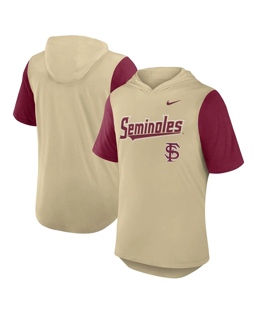 Nike Men's Gold/Garnet Florida State Seminoles Baseball Script Tri-Blend Performance Hoodie T-Shirt