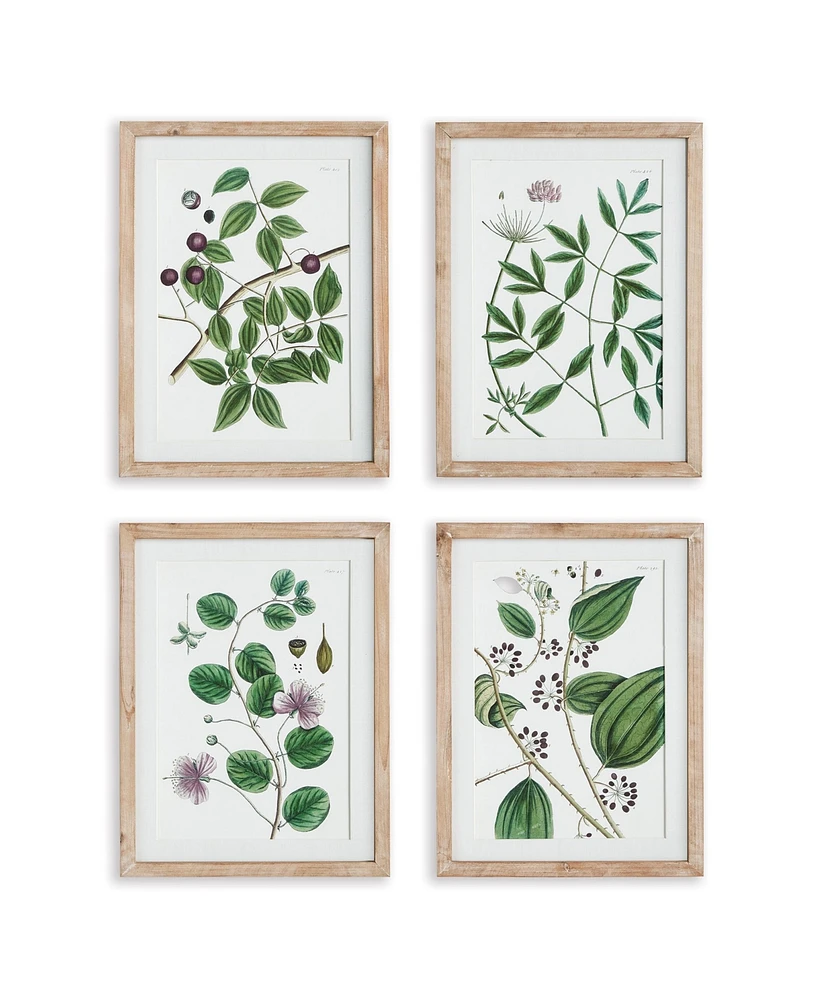 Verdant Branch Prints, Set Of 4