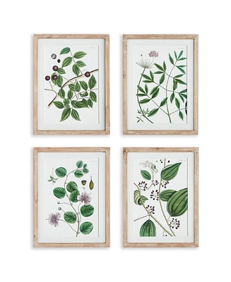 Verdant Branch Prints, Set Of 4