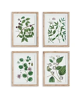 Verdant Branch Prints, Set Of 4