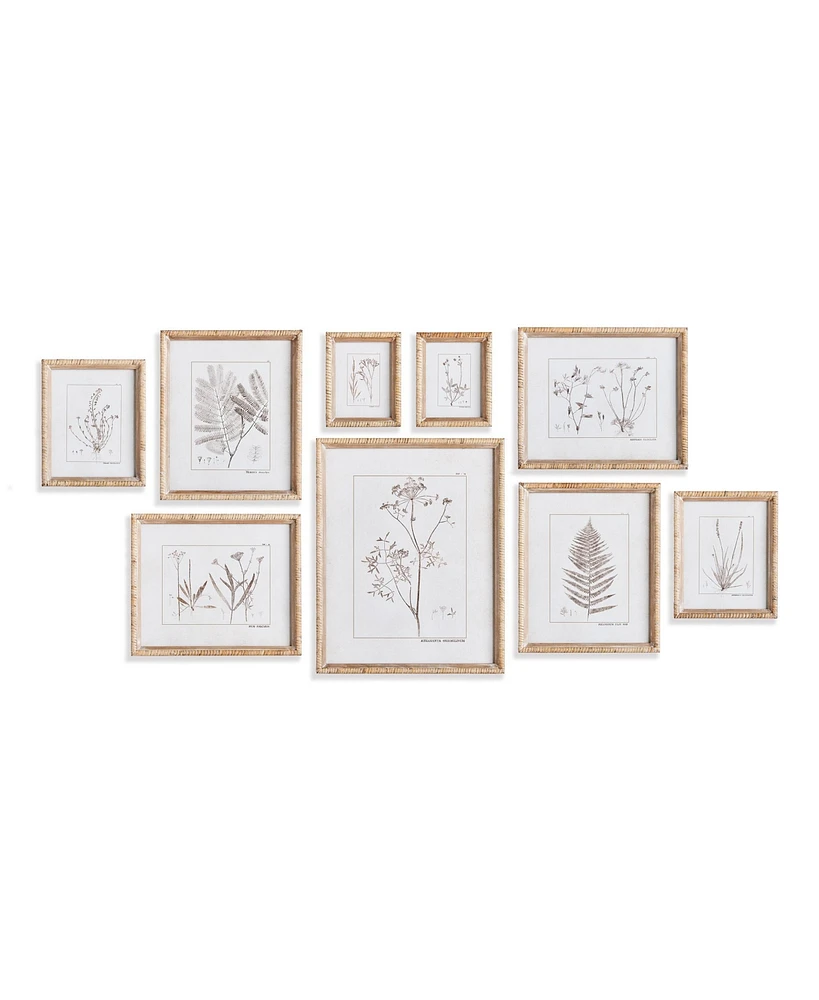 15.75"W x 1"D x 19.75"H and 11.75 x 1 x 14 and 8.5 x 1 x 10.5 and 6.25 x 1 x 7.75 Botanical Study In Sepia Framed Wall Art Set of 9