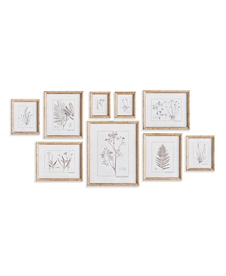 15.75"W x 1"D x 19.75"H and 11.75 x 1 x 14 and 8.5 x 1 x 10.5 and 6.25 x 1 x 7.75 Botanical Study In Sepia Framed Wall Art Set of 9