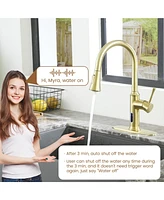 Casainc Smart Faucet Touchless Pull Down Sprayer Kitchen with Voice and Motion Control