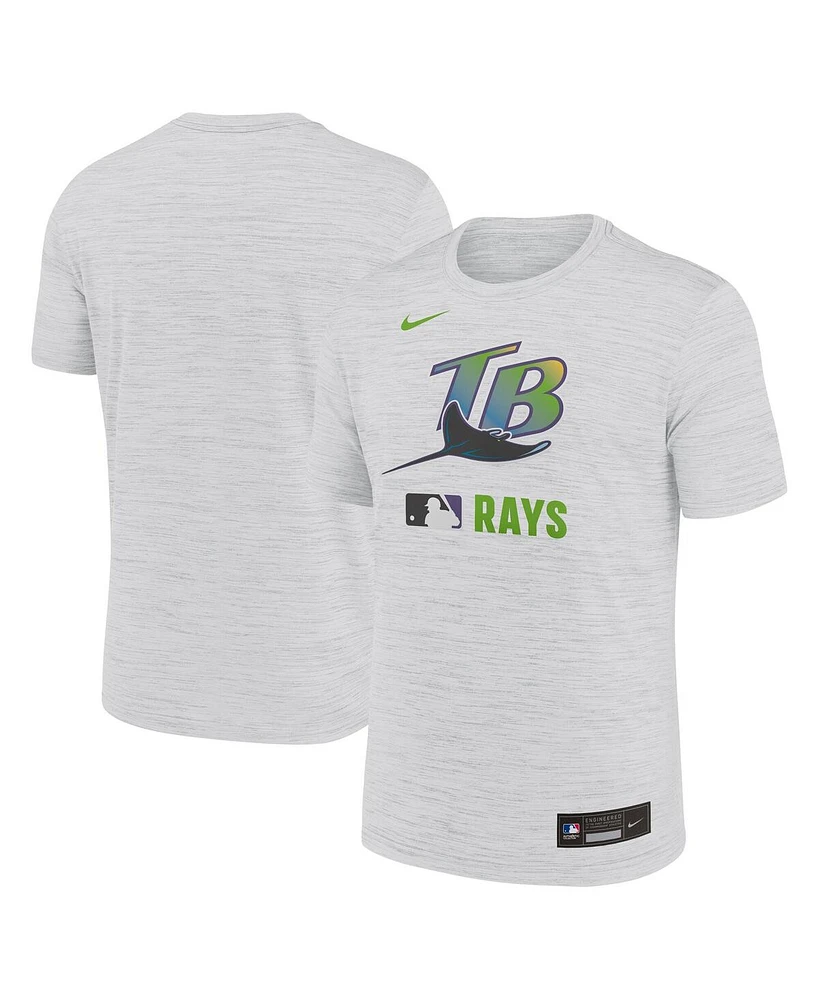 Nike Men's White Tampa Bay Rays Authentic Collection Velocity Performance Practice T-Shirt