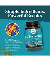 L-Tyrosine Capsule, High Strength L-Tyrosine Supplement for Mental Energy, Mood, Focus, Attention & Cognition, Nature's Craft, 240ct