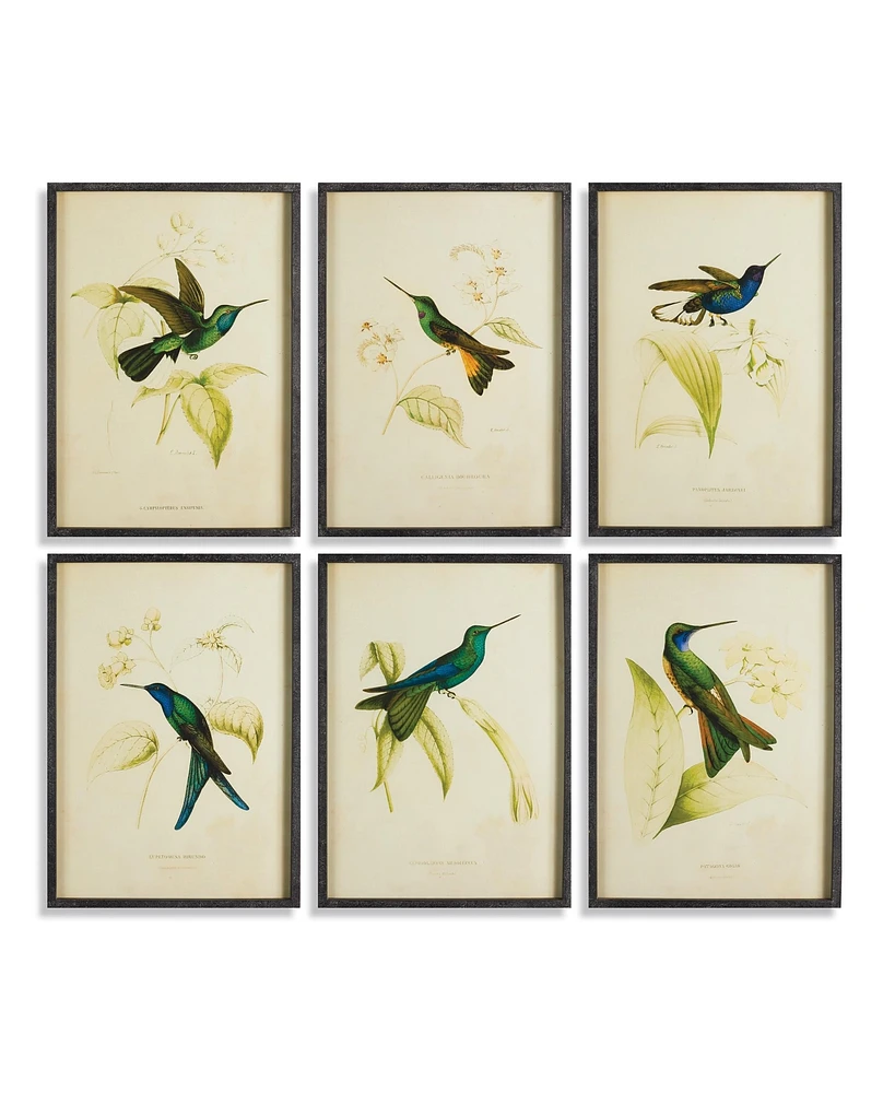 Hummingbird Prints, Set Of 6