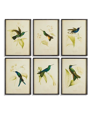 Hummingbird Prints, Set Of 6