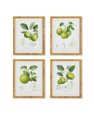 Fruit Study, Set Of 4