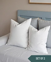 Square Pillow Insert